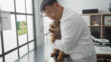 Beyaz laboratuvar önlüklü genç bir Asyalı küçük bir köpeği sevgiyle veteriner kliniğinde tutuyor. Tıbbi çizelgeleri ve arka planda parlak pencereleri var..