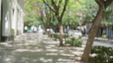 Arka planda bulanıklık, ağaçların dağılması ve güneşli bir cadde boyunca bokeh etkisi..