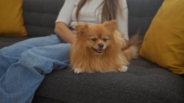 Genç bir kadın sevimli pomeranian köpeğiyle sarı yastıklarla süslenmiş rahat bir kanepede rahatlar..