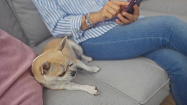 Orta yaşlı bir kadın rahat bir oturma odasında yanında Chihuahua 'sıyla bir akıllı telefon kullanarak kanepede dinleniyor..