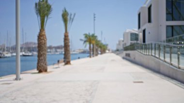 Palmiye ağaçları ve modern binalarla dolu bulanık deniz kenarı gezintisi parlak güneş ışığı altında söndü.