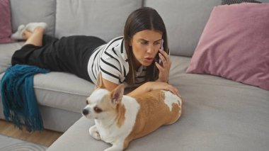 Endişeli genç bir kadın, evinde Chihuahua 'sıyla kanepede uzanıp telefonda konuşuyor..