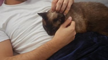 Genç bir İspanyol adam evde dinleniyor, kucağında bir siyam kedisini okşuyor, sıcaklığı ve arkadaşlığı çağrıştırıyor..