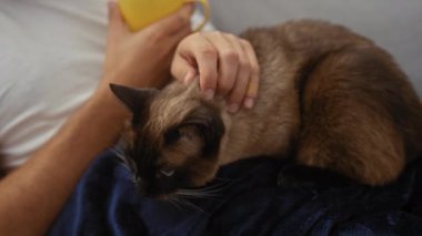 Rahatlamış bir adam evdeki kanepede kedi beslerken kahvesinin tadını çıkarır..