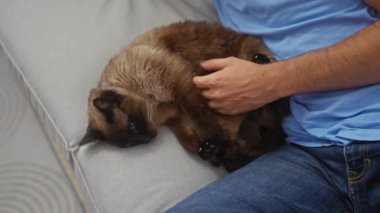 Mavi gömlekli bir adam, içeride gri bir kanepede uyuyan siyam kedisi besliyor, sakin bir ev ortamını tasvir ediyor..