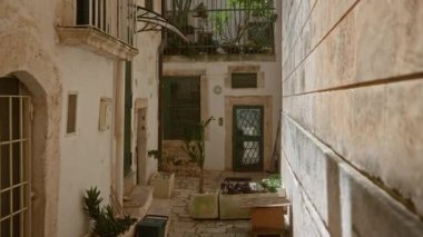 Ostuni, puglia, italya 'daki büyüleyici dar avlu, yerel yerleşim yerleri, saksı bitkileri, yeşil kapılar ve eski taş duvarlara gölge düşüren güneş ışığı.