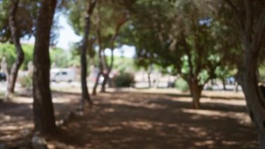 Bokeh efektli bir açık hava sahnesinin bulanık arkaplanı. Parlak güneş ışığı altındaki ağaçları parktan uzak bir ortamda sergiliyor..