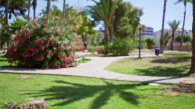 Parlak çiçekli, yemyeşil bahçeli, güneşli açık hava manzaralı, bulanık yürüyüş yolları olan, gün ışığında halka açık bir parkı gözler önüne seren, sakin bir doğa ortamı için mükemmel bir yer.