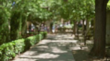 Mallorca 'da açık hava bulanık arka plan ve bokeh etkisi ile yürüme yolu, verimli yeşil park ortamında erkek ve kadınların yer aldığı