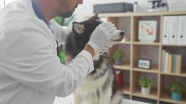 İspanyol erkek veteriner klinikte köpeğini muayene ediyor..