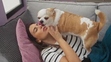 Oturma odasında pembe yastıklı bir kanepede uzanmış genç bir kadın bronz tenli beyaz chihuahua köpeğiyle eğleniyor..