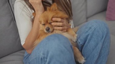 Pomeranian köpeğini kucaklayan genç bir kadın telefonda konuşurken, kanepede oturuyor..
