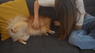 Genç bir kadın rahat bir kanepede pomeranian köpeğiyle oynaşmaktan zevk alıyor..