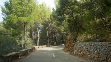 Güneşli bir gökyüzünün altında taş duvarları olan verimli bir çam ormanının içinden geçen dolambaçlı bir yol..