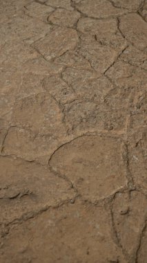 Yıpranmış taş kaldırıma yakın çekim. Mallorca 'da kırsal doku sergileniyor. İspanya açık havada doğa ve antik mimariyi vurguluyor.