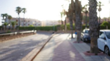 Bulanık açık hava manzarası, çözünmüş patika, palmiye ağaçları, arabalar ve güneş ışığıyla yıkanmış uzak binalar.