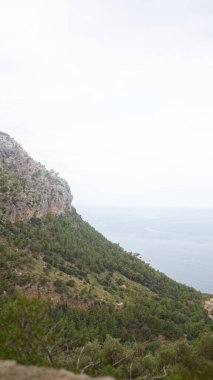Akdeniz kıyı şeridi, gür orman kaplı uçurumlar ve bulutlu bir gökyüzünün altındaki mavi deniz manzarası, doğa ve seyahat görselleri için mükemmel..