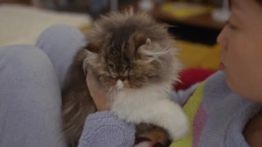 Genç Asyalı bir kadın rahat bir yatak odasında sevimli, tüylü bir İranlı kedi yavrusu tutuyor, rahatlığı ve ev hayatını simgeliyor..