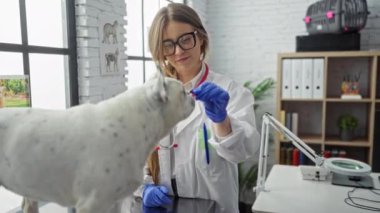 Eldiven ve laboratuvar önlüğü giyen genç bir kadın veteriner modern bir veteriner kliniğinde bir köpeği muayene ediyor..