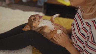 Sarışın genç bir kadın evdeki rahat bir yatak odasında, sevimli köpeğiyle yatakta oynaşıyor..