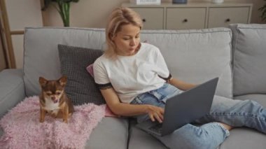 Sarışın, beyaz bir kadın, oturma odasındaki küçük bir chihuahua köpeğinin yanındaki koltukta otururken dizüstü bilgisayar kullanıyor..