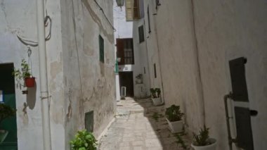 Ostuni, Puglia 'da büyüleyici dar bir sokak, beyazlatılmış duvarlar ve saksı bitkileriyle dolu, güneş ışığıyla yıkanmış, pitoresk sokak manzarasını aydınlatıyor..