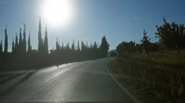 Güneşli kırsal yolda ağaçlar her iki tarafı kaplıyor ve parlak güneş ışığı açık havada uzun gölgeler yaratıyor..