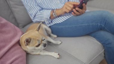 Akıllı telefon kullanan olgun bir kadın. Yanında Chihuahua köpeği olan. Oturma odasındaki kanepede uzanmış.
