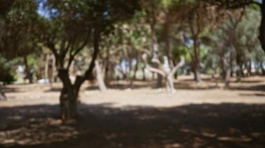 Açık hava bulanık orman görüntüsü çözünmüş yeşil ve kahverengi ağaçları doğal ışıkla gösteriyor güneşli bir günde halk parkında huzurlu bir arka plan sahnesi yaratıyor.