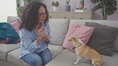 Orta yaşlı bir kadın sıcak bir oturma odasında bir Chihuahua köpeğini eğitiyor. Sade bir atmosferi yansıtıyor.