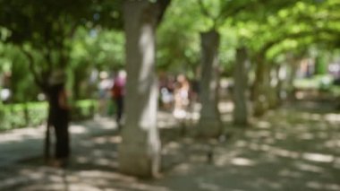 Mallorca 'da ağaçlarla kaplı bir parkta yürüyen insanların bulanık görüntüsü yolda gölgeler bırakıyor.