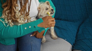 Genç Afrikalı Amerikalı bir kadın oturma odasında oturmuş küçük köpeğinin dişlerini fırçalıyor ve evinde samimi bir evcil hayvan bakımı anı yaratıyor..