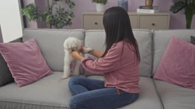 Günlük kıyafetli bir kadın evde pembe yastıklı gri bir kanepede tüylü beyaz bizon köpeğini tımar ediyor..