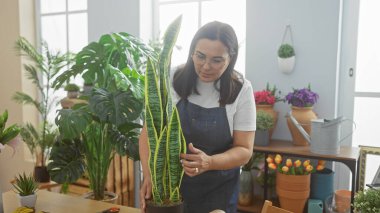 İspanyol kadın, etrafındaki çeşitli renklerde çiçeklerle dolu, parlak, kapalı bir çiçekçide bitkileri inceliyor..