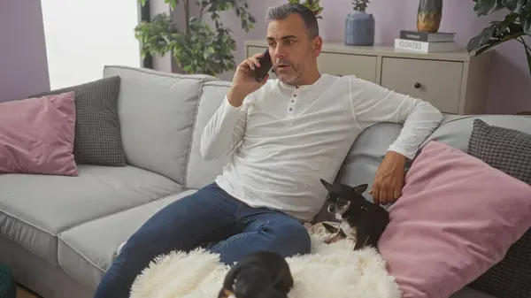 stock image Middle aged hispanic man with two chihuahuas in a cozy living room talking on the phone while sitting on a grey couch with pink and grey pillows.