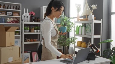 Dizüstü bilgisayarda çalışan bir kadın dekore edilmiş bir mağazada çeşitli dekorasyon ürünleriyle dolu raflarda saksı tutarken....