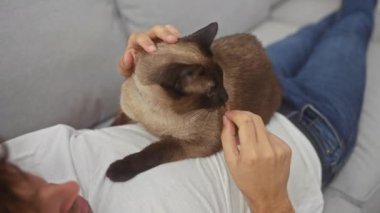 İçerideki genç bir adam, sevimli siyam kedisini gri bir kanepede okşayarak rahatlamanın keyfini çıkarıyor..