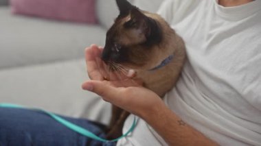 Beyaz gömlekli bir adam içeride bir siyam kedisini nazikçe besler ve aile içi bağlılık ve bakım sahnesi yaratır..