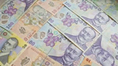 10, 50 ve 100 leu da dahil olmak üzere çeşitli banknotlardan oluşan Romanya banknotları, rengarenk tasarımları ve tarihi figürlerini sergiliyor.