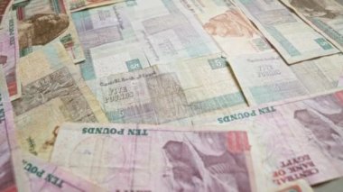 Mısır banknotları çeşitli mezhepler kumaş arka planda dağınık, farklı tasarımlar ve renkler sergileniyor.