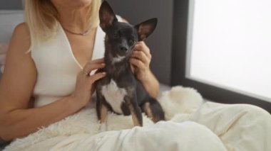 Küçük siyah chihuahua 'yı okşayan bir kadın rahat oturma odasında birlikte rahat bir anın tadını çıkarıyor.