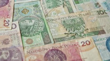 Polonya banknotları, Polonya 'dan gelen zloti para biriminin farklı tasarım ve renklerini vurgulayarak, çeşitli mezhepleri gösteren düz bir düzene dağılmış durumdalar..