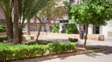 Güneşli gökyüzünün altında şehir parkında ağaçlar ve yeşillikler olan bulanık bir avlu.