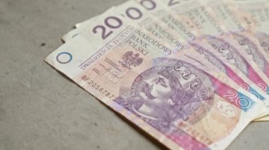 Ülkenin para ve finans sistemini vurgulayan somut bir yüzeye yayılmış ulusal semboller ve tarihsel figürlerin yer aldığı Polonya zloti banknotları.