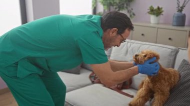 Orta yaşlı, önlüklü bir İspanyol köpek yavrusunu dikkatlice muayene ediyor..