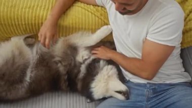 Genç bir İspanyol adam, rahat bir apartman dairesinde iri yarı bir köpekle oynuyor.