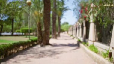 Palmiye ağaçları ve mavi gökyüzünün altında taş bir çiti kaplayan renkli çiçeklerle dolu bir açık hava parkı manzarası.