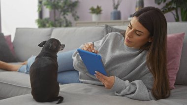 Bir kadın sıcak bir oturma odasında Chihuahua 'sıyla tablet kullanarak etkileşime girer..