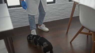 Kotlu ve eldivenli bir adam içeride elinde bir tekel ile veteriner kliniğini araştırıyor..