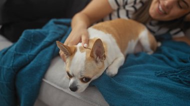 Genç bir kadın evinde dinleniyor, sıcak bir kanepede Chihuahua 'sını okşuyor..